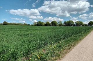 Gewerbeimmobilie kaufen in 91757 Treuchtlingen, Wertvoller Grund und Boden zur Vermögensabsicherung