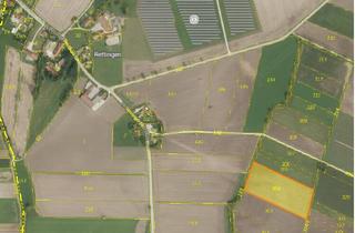 Gewerbeimmobilie kaufen in 86660 Tapfheim, Sachwert schlägt Geldwert, attraktive landwirtschaftliche Fläche