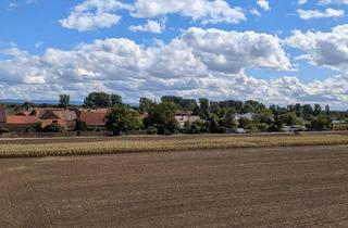Wohnung mieten in 67259 Großniedesheim, Erstbezug nach Sanierung: Charmante 4-Zimmer-Wohnung in Großniedesheim