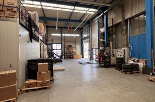 Gewerbeimmobilie kaufen in 79232 March, Lager- und Bürogebäude in March-Hugstetten zum Kauf