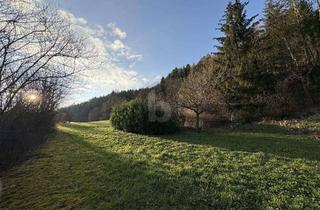 Grundstück zu kaufen in 72172 Sulz am Neckar, RUHE UND NATUR MIT EIGENER QUELLE (KEIN BAULAND)