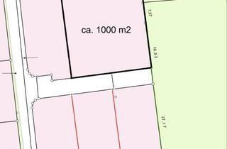Grundstück zu kaufen in 33449 Langenberg, 1000 m2 Baugrundstück in einzigartiger Hanglage in Langenberg