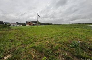 Grundstück zu kaufen in 85276 Pfaffenhofen, **Ihr Traumgrundstück im Neubaugebiet Tegernbach**