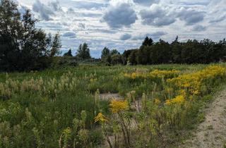 Immobilie kaufen in 17192 Waren, Großes Baugrundstück nahe des TiefwarenseesViel Raum für Ihre Ideen