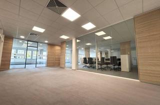 Büro zu mieten in Holzhauser Straße 44, 13509 Berlin, Hochwertige Bürofläche 325m2 im EG in Berlin Reinickendorf - ab sofort zur Miete