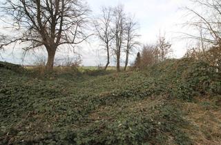 Immobilie kaufen in 52445 Titz, Baugrundstück in Feldrandlage