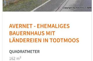 Bauernhaus kaufen in 77933 Lahr, Lahr (Schwarzwald) - Bauernhof - Reiterhof