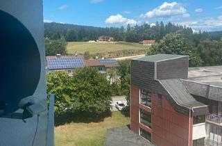 Wohnung kaufen in 94089 Neureichenau, Neureichenau - 1 Zimmerwohnung