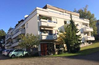 Wohnung kaufen in 76887 Bad Bergzabern, 2 Appartements im Gesamtpaket - vermietet