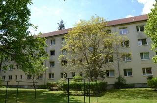 Wohnung mieten in Artur-Becker-Ring 19, 03130 Spremberg, 2-Raum-Wohnung im Grünen zu vermieten