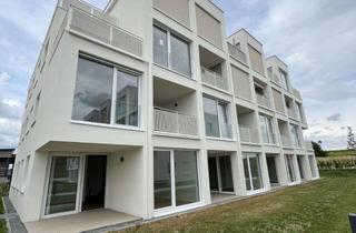 Wohnung mieten in Haselallee 10, 74653 Künzelsau, *** Erstbezug Neubau Whg. A4 ***