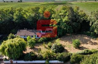 Haus kaufen in 67229 Gerolsheim, Freistehendes Anwesen in Panoramalage mit Erweiterungsoption - Liebhaberobjekt und Investorenchance