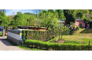 Haus kaufen in 99752 Bleicherode, Moderner Bungalow in idyllischer Naturlage – Ihr neues Zuhause in Hainrode