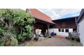 Einfamilienhaus kaufen in 76835 Rhodt, Charmantes Einfamilienhaus mit renovierter Ferienwohnung und Garten in idyllischer, ruhiger Lage