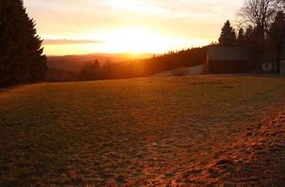 Haus kaufen in 95131 Schwarzenbach a Wald, Traumgrundstück inkl. Baugenehmigung