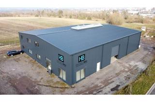 Gewerbeimmobilie kaufen in 66954 Winzeln, moderne und neuwertige Lagerhalle mit Bürogebäude.