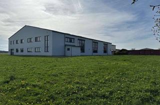 Gewerbeimmobilie kaufen in 97996 Niederstetten, ACHTUNG INVESTOREN!ZUM VERKAUF STEHEN, DREI GUT VERMIETETE GEWERBEHALLEN IN NIEDERSTETTEN!