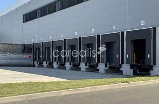 Gewerbeimmobilie mieten in 41542 Dormagen, PROVISIONSFREI | 24/7 | WGK3 | 22.000 m² teilbar ab 5.500 m² | RAMPEN
