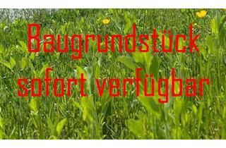 Grundstück zu kaufen in 82399 Raisting, Wohnbaugrundstück in Raisting