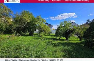 Grundstück zu kaufen in 65343 Eltville, Perfektes Baugrundstück in toller Lage