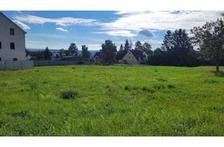 Grundstück zu kaufen in 08527 Neundorf, Großzügiges Grundstück in Neundorf!