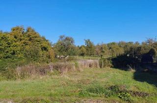 Grundstück zu kaufen in 53773 Hennef, Baugrundstück in Top-Lage in familienfreundlicher Wohnlage von Hennef!!