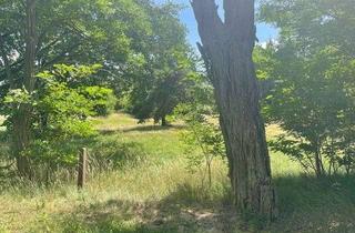 Grundstück zu kaufen in 19273 Neuhaus, Ruhiges Grundstück im Grünen