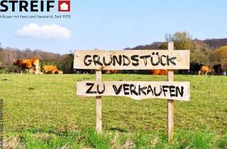 Grundstück zu kaufen in 29358 Eicklingen, Baugrundstück in Eicklingen