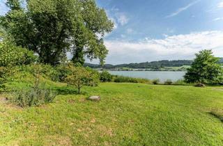 Grundstück zu kaufen in 78337 Öhningen, Traumgrundstück in 1. Seereihe