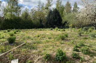 Grundstück zu kaufen in Otternbuschweg 20, 32051 Herford, Grundstück in Top Lage von Herford zu bebauen mit einem Mehrfamilienhaus