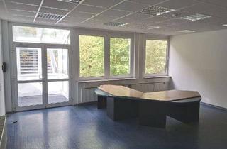 Büro zu mieten in An Der Bremecke, 59929 Brilon, Ihr Büro im Grünen bis zu 6 Monate Mietfrei!