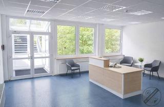 Büro zu mieten in An Der Bremecke, 59929 Brilon, Ihr Büro im Grünen bis zu 6 Monate Mietfrei!