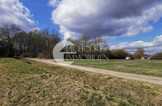 Immobilie kaufen in 31275 Lehrte, Lehrte: Landwirtschaftsgrundstück mit ca. 5.526 m² direkt am Gleis