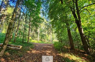 Gewerbeimmobilie kaufen in 86513 Ursberg, Älterer Laub-Mischwald I ökologisch & klimastabil I sehr gute Erschließung