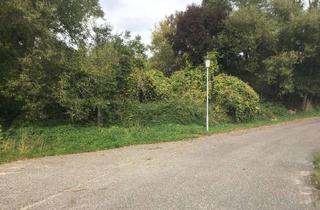 Gewerbeimmobilie kaufen in Hauptstrasse, 17089 Breest, Ruhiges Grundstück für verschiedene Nutzung