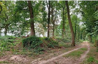 Gewerbeimmobilie kaufen in 47608 Geldern, Wald kaufen, Freiheit spüren: Mischwald in Geldern-Walbeck verfügbar
