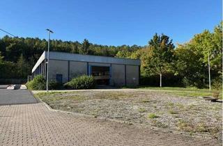 Gewerbeimmobilie mieten in Benzstraße 9-11, 97900 Külsheim, Vermietung In- und Outdoor Lagerflächen als Teilflächen