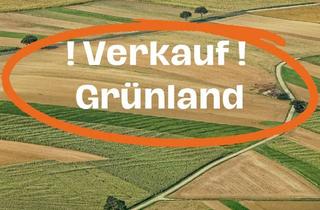 Gewerbeimmobilie kaufen in 86424 Dinkelscherben, Grünland "Hohe Reute" zwischen Ettelried und Saulach im Bieterverfahren zu verkaufen