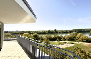 Penthouse mieten in 55252 Mainz-Kastel, Lichtdurchflutetes 4-Zimmer-Penthouse mit großer Terrasse und Ausblick über das Rheinufer