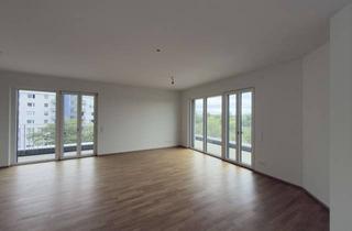 Penthouse mieten in 55252 Mainz-Kastel, Luxuriöses 4-Zimmer-Penthouse mit riesen Terrasse und Blick auf die Rheinpromenade und Mainz