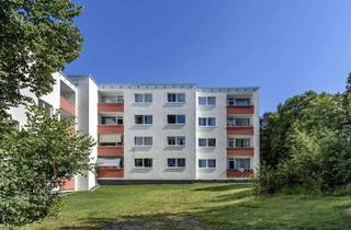 Wohnung mieten in Eggersten Ring, 57223 Kreuztal, Demnächst frei! Großzügige 3-Zimmer-Wohnung mit Balkon in Kreuztal