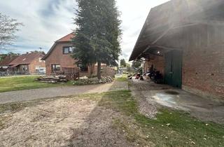 Einfamilienhaus kaufen in 29664 Walsrode, Historie trifft Moderne - Einfamilienhaus mit Einliegerwohnung und Scheune auf großen Grund