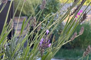 Doppelhaushälfte kaufen in 61194 Niddatal, Neuwertige Doppelhaushälfte in familienfreundlicher Lage!