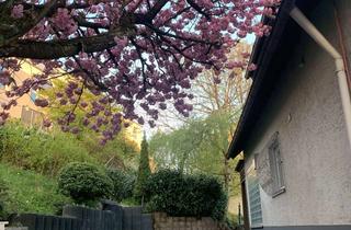 Haus mieten in 42857 Remscheid, Freistehendes Einfamilienhaus mit Schwimmbad, Sauna und großem Grundstück
