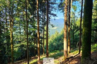 Anlageobjekt in 79263 Simonswald, Grün, nachhaltig & regional. Wald als wertstabiles Investment!