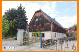 Einfamilienhaus kaufen in 01591 Riesa, Großzügiges Wohnhaus vereint ländlichen Charme mit zahlreichen Nutzungsmöglichkeiten