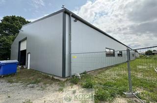 Büro zu mieten in 27612 Loxstedt, Moderne, beheizbare Lagerhalle im Gewerbegebiet Lox.-Wedenberg