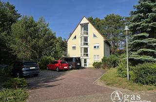 Mehrfamilienhaus kaufen in 14822 Borkheide, Vollvermietetes Mehrfamilienhaus mit 3 Wohneinheiten in Borkheide
