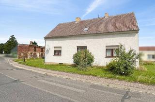 Einfamilienhaus kaufen in 04928 Plessa, Mieten ist teurer ! Ländlich wohnen mit allen Möglichkeiten - EFH in Plessa mit großem Grundstück