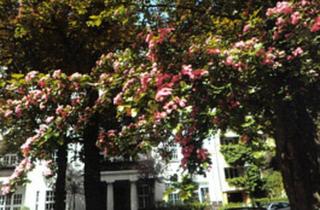 Wohnung kaufen in Schoelerpark, 10715 Berlin, Berlin - Bezugsfreie sonnige Dachgeschossmaisonette mit Terrasse & Aufzug